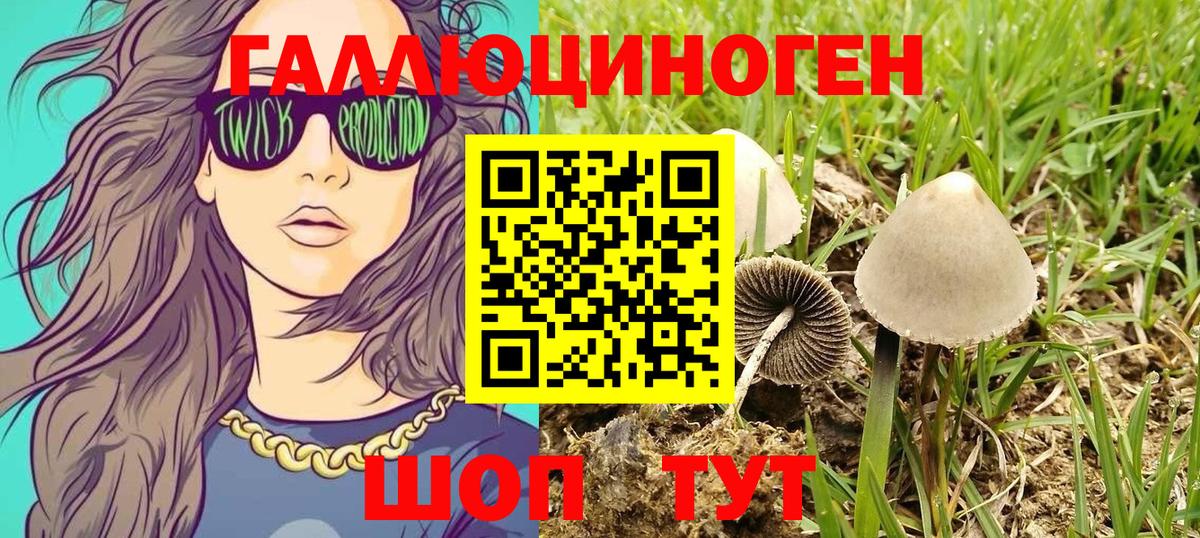 Мирный  Псилоцибиновые грибы GOLDEN TEACHER  Вход с VPN  Галлюциногенные грибы Psilocybe 